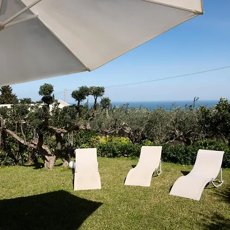 Antico Pozzo Piscina Privata Holiday home Castellammare del Golfo
